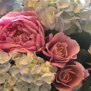 Meet your Posher, Nabeela